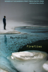 Cover of Mechanical Fireflies by Doug Ramspeck